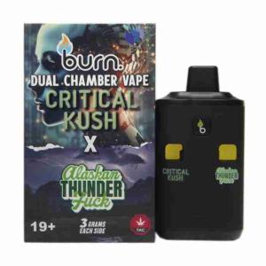Burn -  6 Gram Dual Chamber Burn Disposable Vape