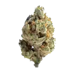 GoudaBerry (Hybrid)